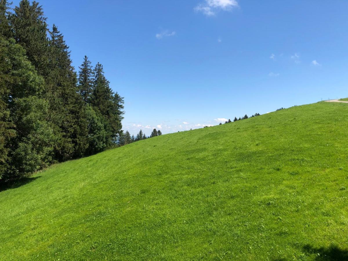 Hirschen Wald - Gasthaus & Baeckerei Экстерьер фото