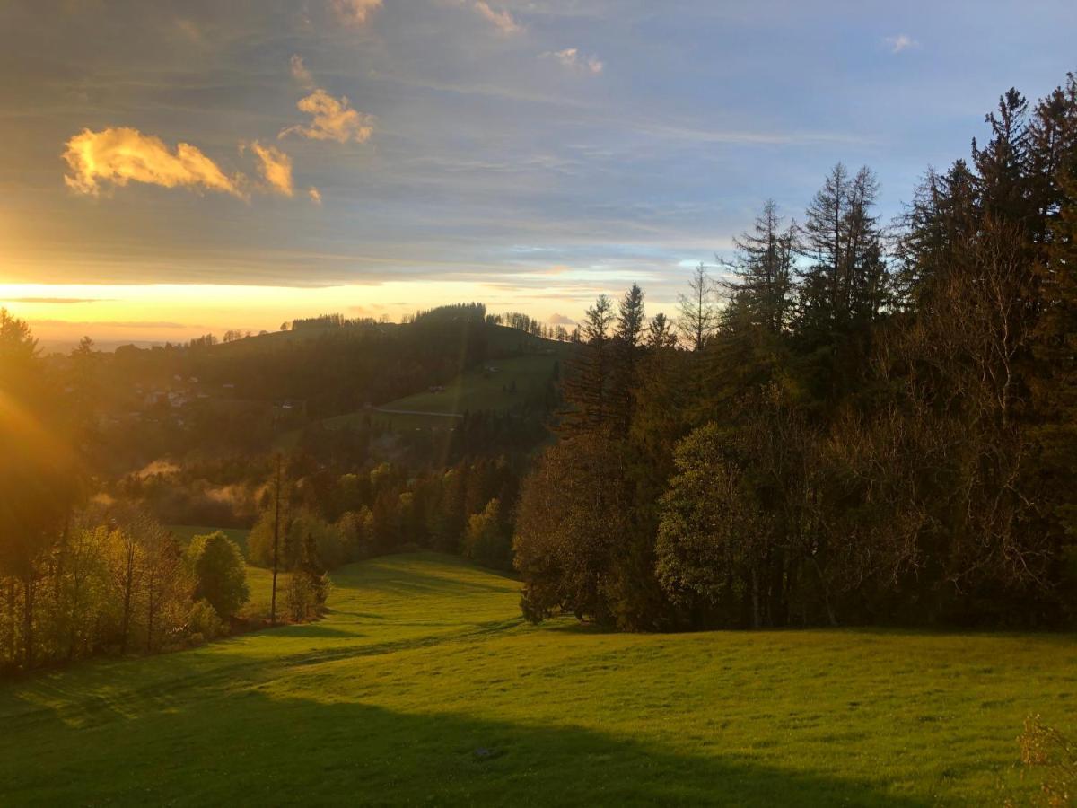 Hirschen Wald - Gasthaus & Baeckerei Экстерьер фото
