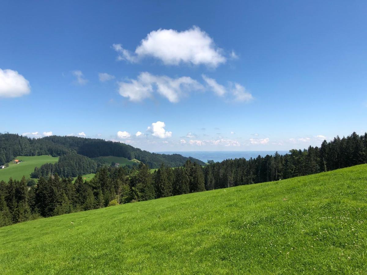 Hirschen Wald - Gasthaus & Baeckerei Экстерьер фото