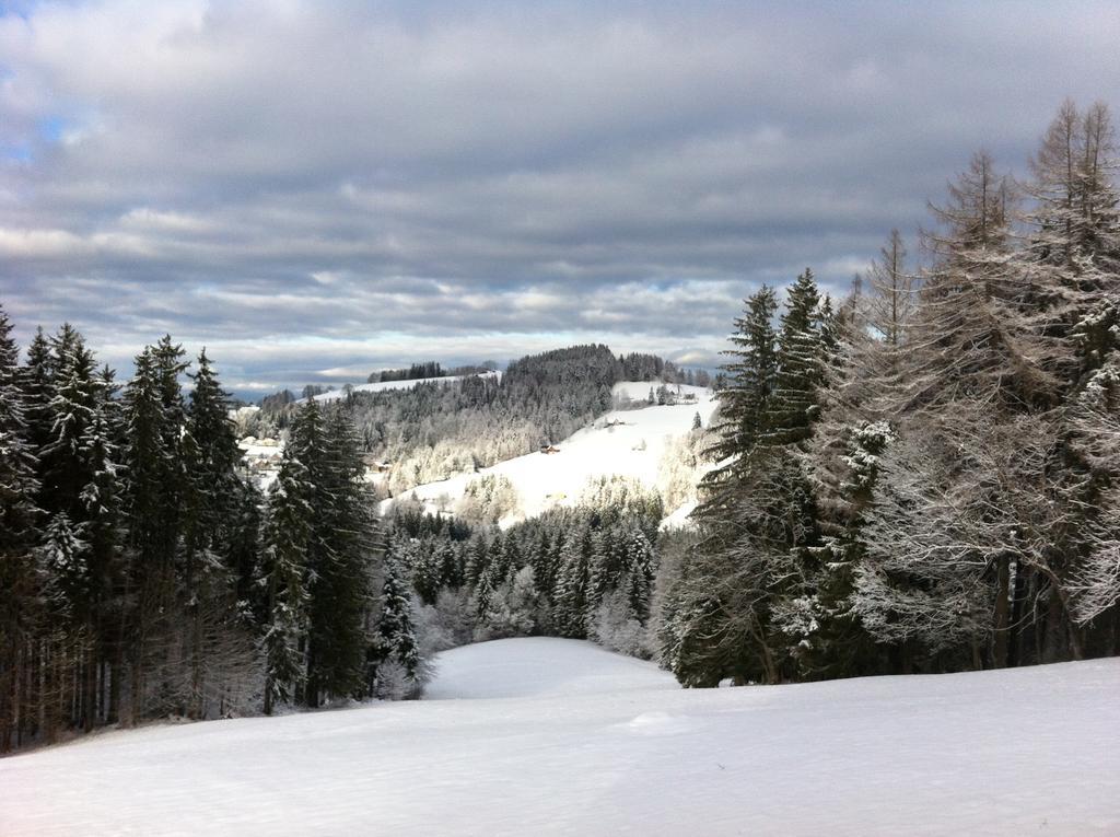 Hirschen Wald - Gasthaus & Baeckerei Экстерьер фото