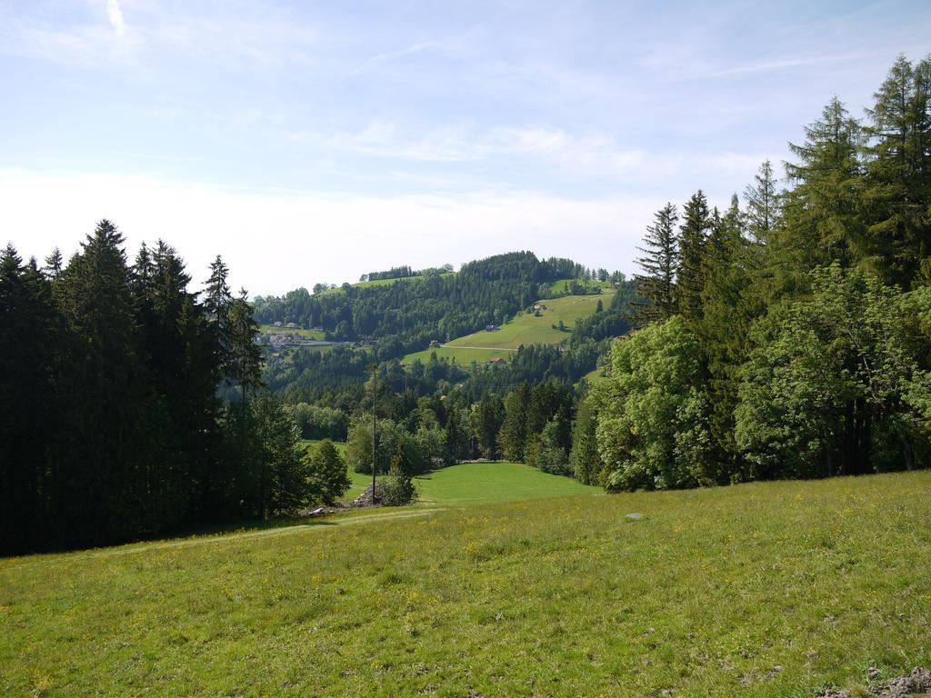 Hirschen Wald - Gasthaus & Baeckerei Экстерьер фото