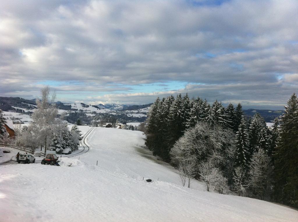 Hirschen Wald - Gasthaus & Baeckerei Экстерьер фото